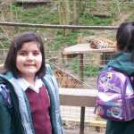 Dudley zoo3