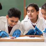 Hydesville Tower School update Nov 2019