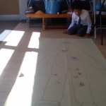 Shaan 3CW