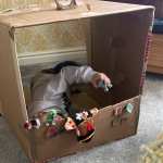 Ted-gets-imaginitive-at-home-crop