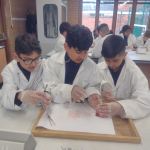 IMG_20220929_153311199_1